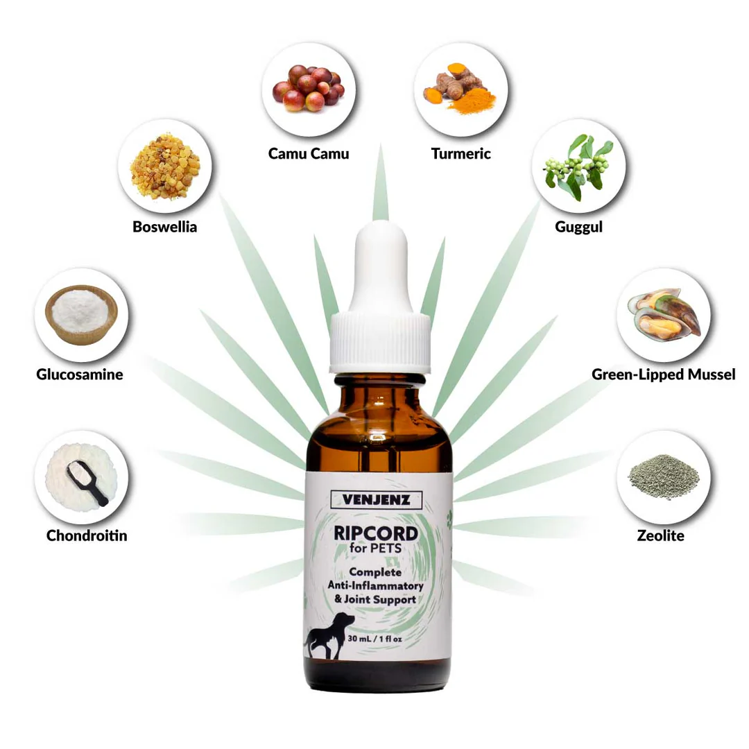 Venjenz - RIPCORD for Pets | Anti-Inflammatory & Joint Support
