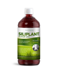 Thumbnail for Silicium - Silipant G7 1000ml (Living Silica in Purified Water)