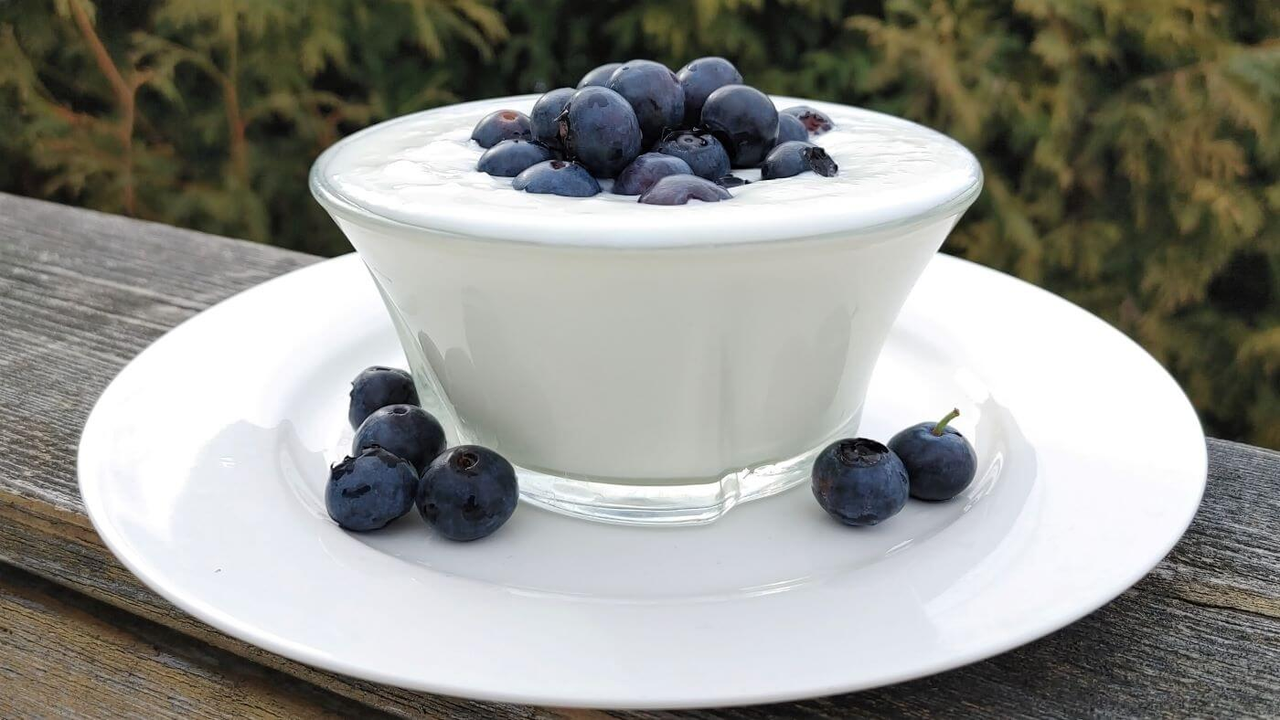 Cutting Edge Cultures | Yogurt Plus starter