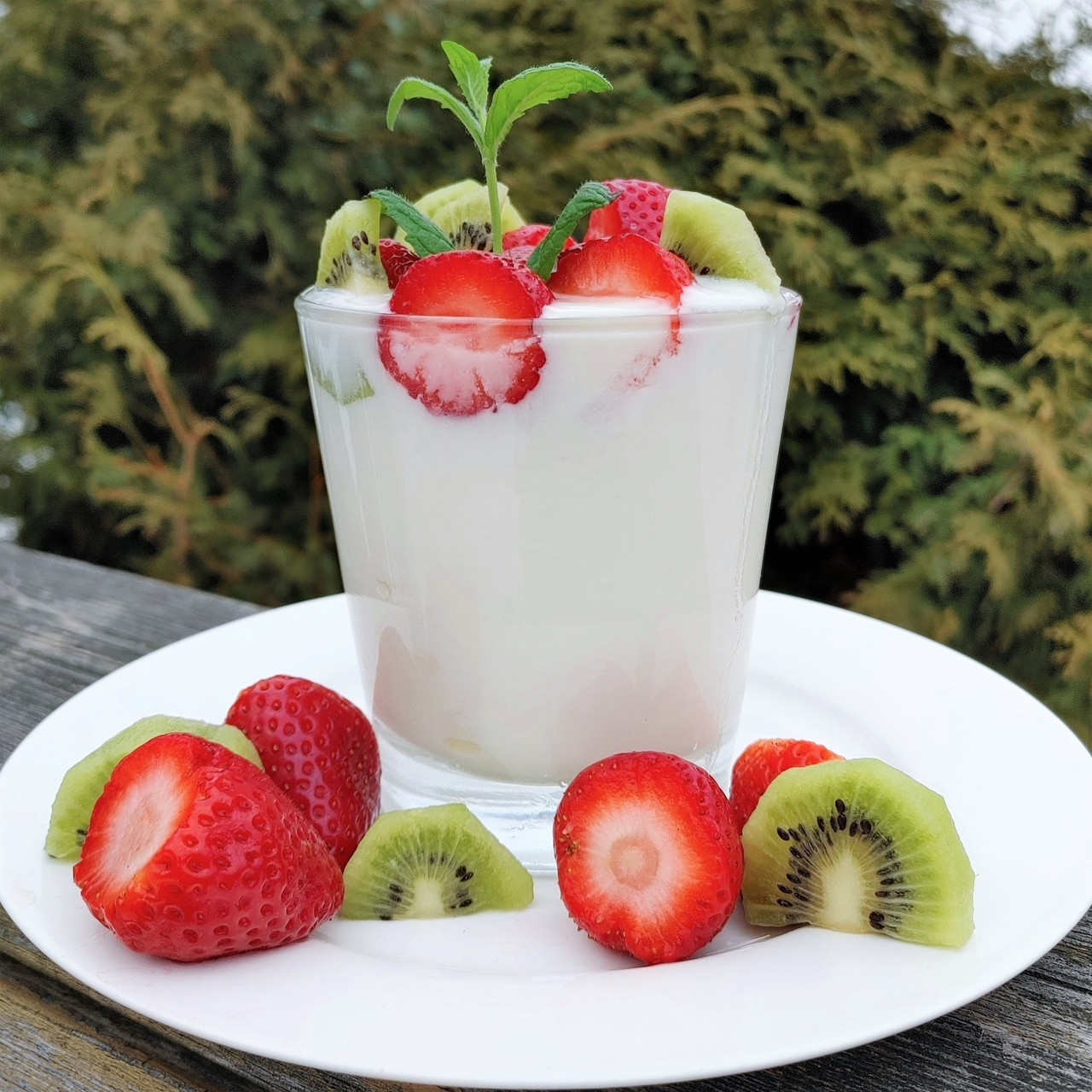 Cutting Edge Cultures | Yogurt Plus starter